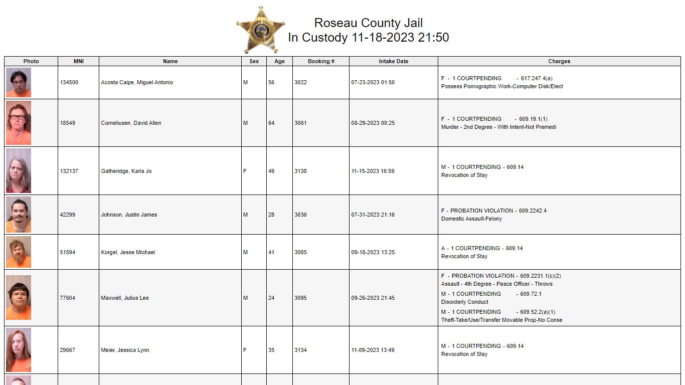 Custody - Roseau County, Minnesota